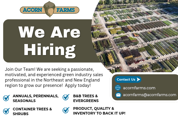 We Are Hiring