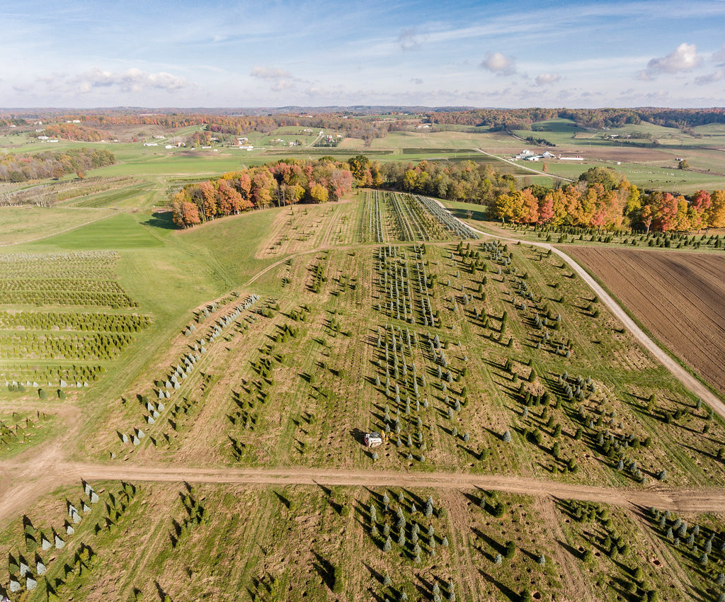 FREDRICKTOWNLOVE FARM HIGHLIGHTS an overview highlights of Acorn