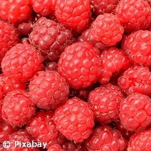RUBUS IDA KOKANEE