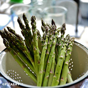 ASPARAGUS MARY WASHINGTON