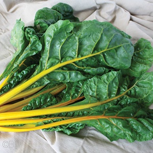 SWISS CHARD ELDORADO