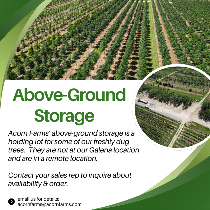 Above Ground Storage