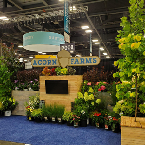 Cultivate22