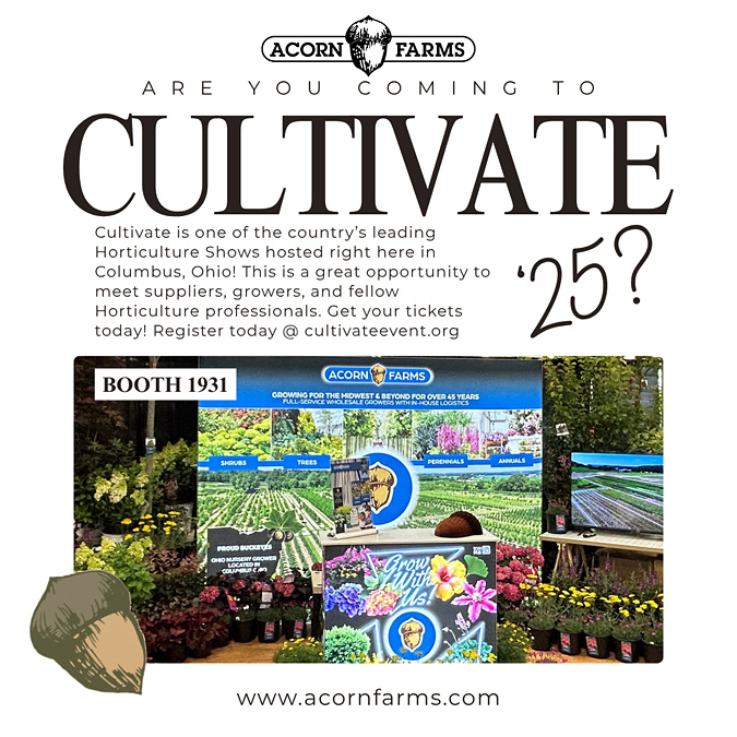 Cultivate 2025