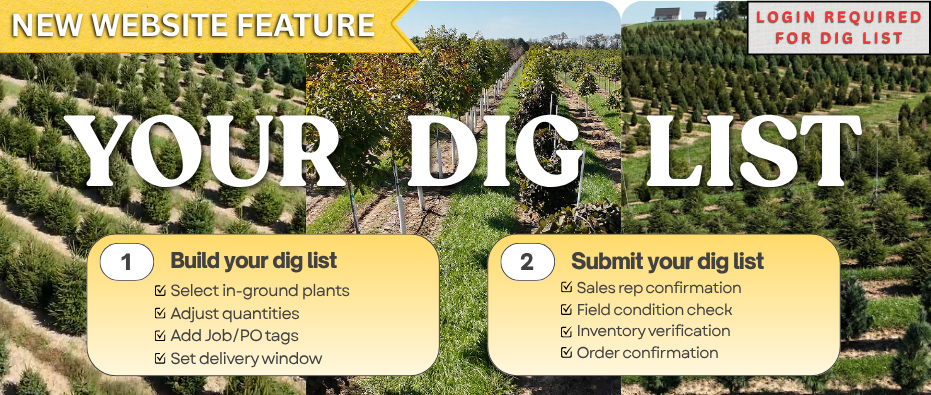 New Web Feature - Dig List Request Button - Log in to try!