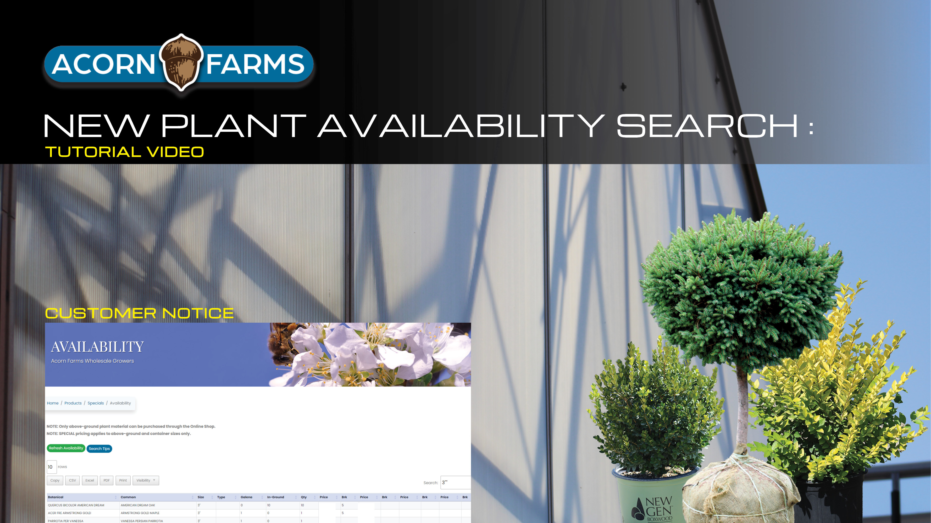 Our Revamped Availability Plant Lists!