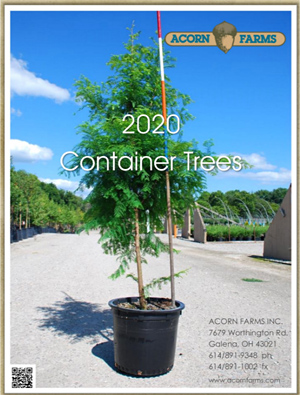 Container Trees