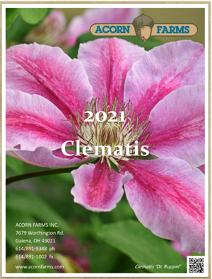 Clematis flipbook