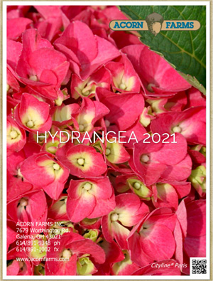Hydrangea flipbook