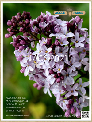 Lilac flipbook