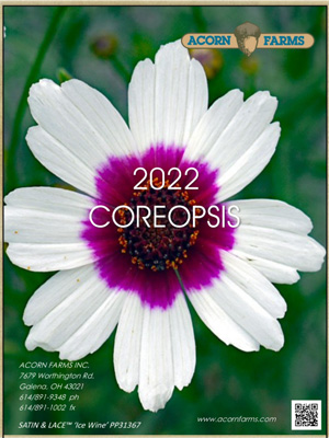 Coreopsis flipbook