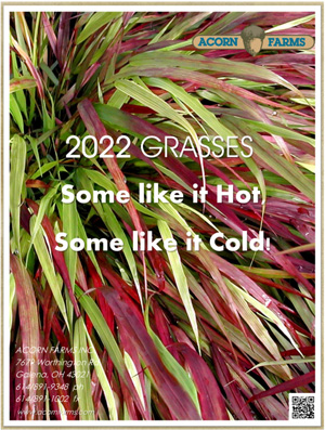 Grasses flipbook