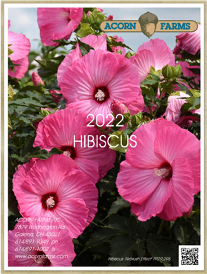 Hibiscus flipbook
