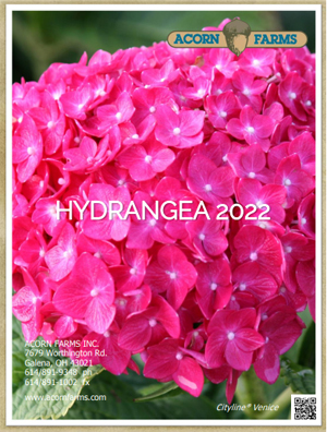 Hydrangea flipbook