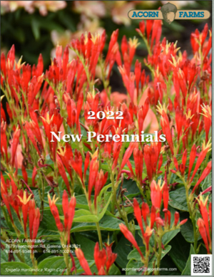 New Perennials flipbook