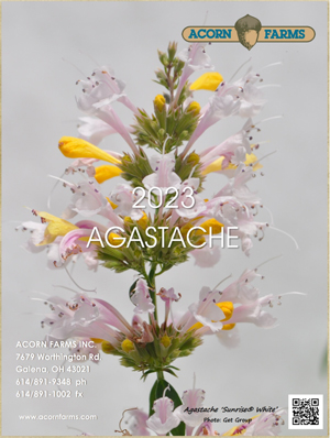 Agastache flipbook
