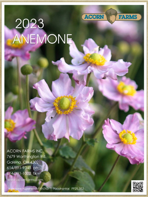 Anemone flipbook