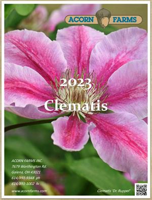 Clematis flipbook