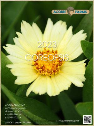 Coreopsis flipbook