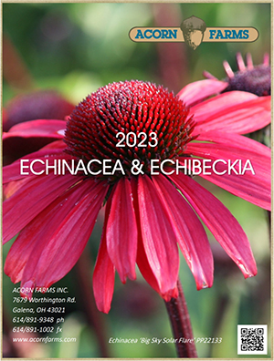 Echinacea flipbook