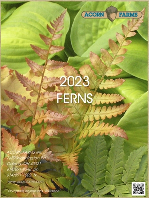 Ferns flipbook