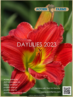 Daylily flipbook