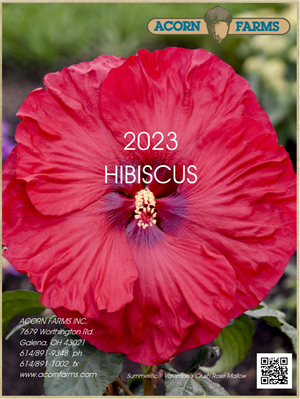 Hibiscus flipbook