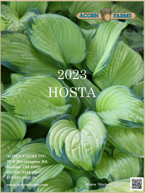 Hosta flipbook