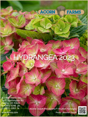 Hydrangea flipbook