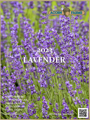 Lavender flipbook