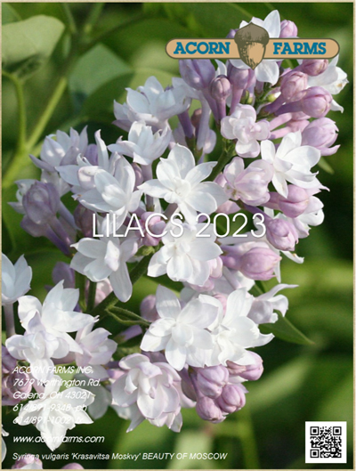 Lilac flipbook