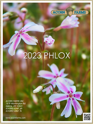 Phlox flipbook