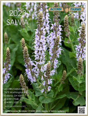 Salvia flipbook