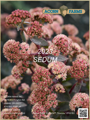Sedum flipbook
