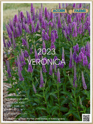 Veronica flipbook