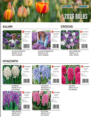 Bulbs flipbook