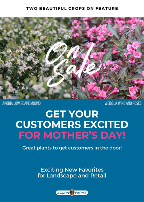 Mother's Day Special!