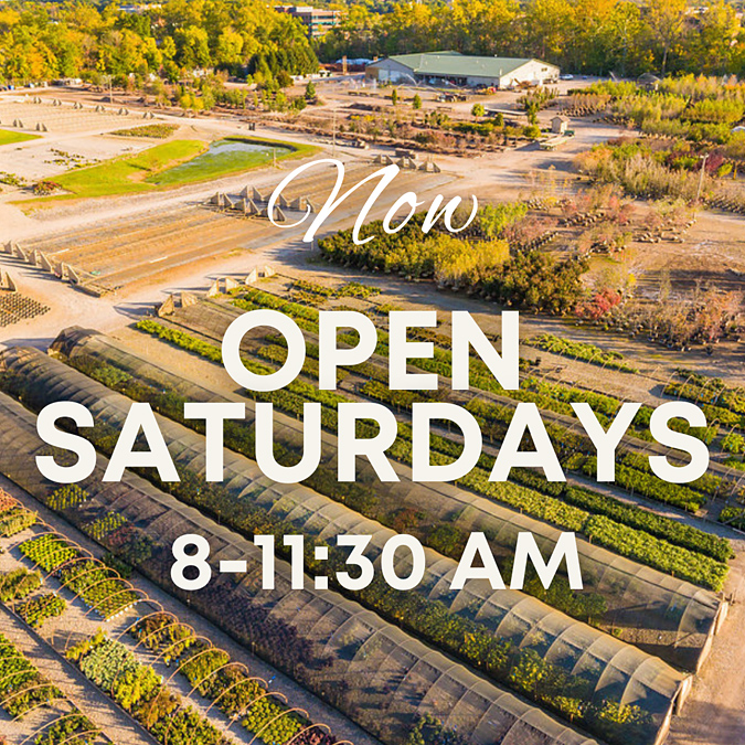 NOW OPEN SATURDAYS