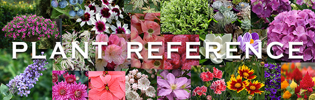 Plant Reference Guide is a wealth of info regarding each plant we sell