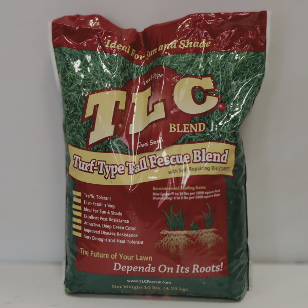 SEED - TITAN TURF FESCUE