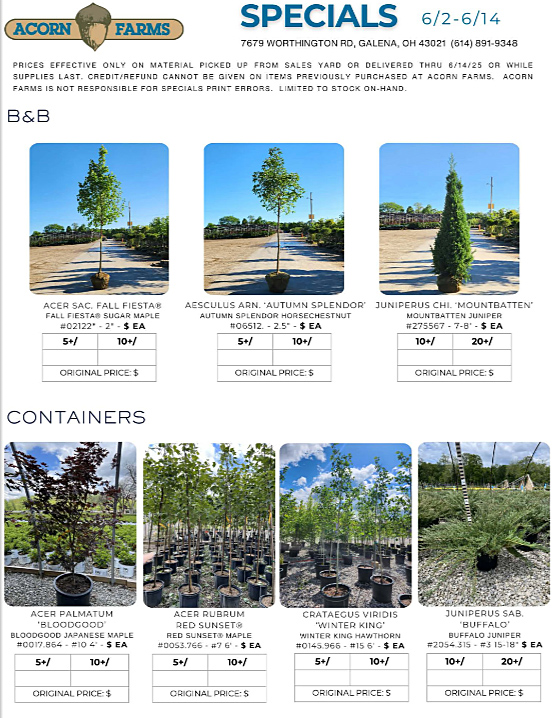 Acorn Farms Specials