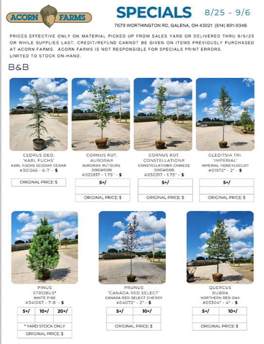 Acorn Farms Specials