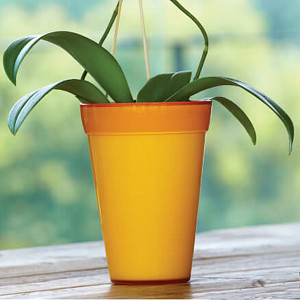 CRESNT UMA 6.5 INCH ROUND PLANTER