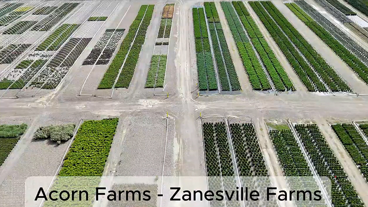Acorn Farms - Zanesville Farm