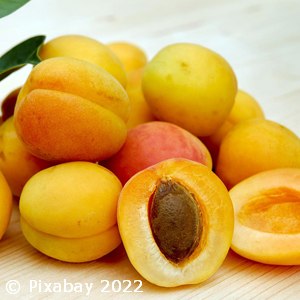 Apricots