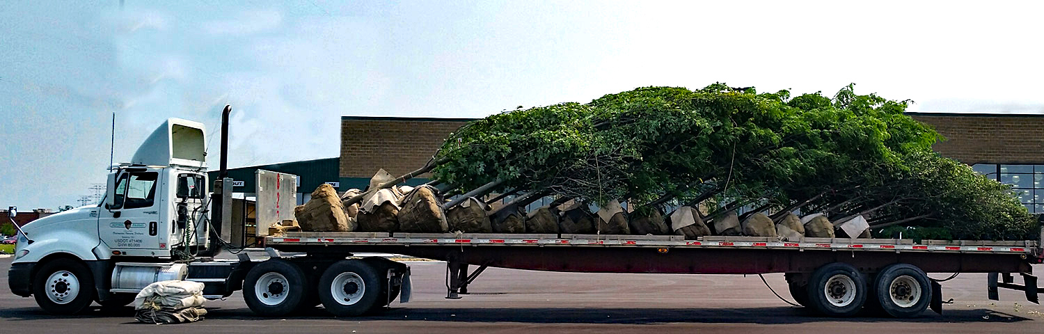 delivery