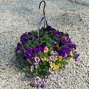 HANGING BASKET