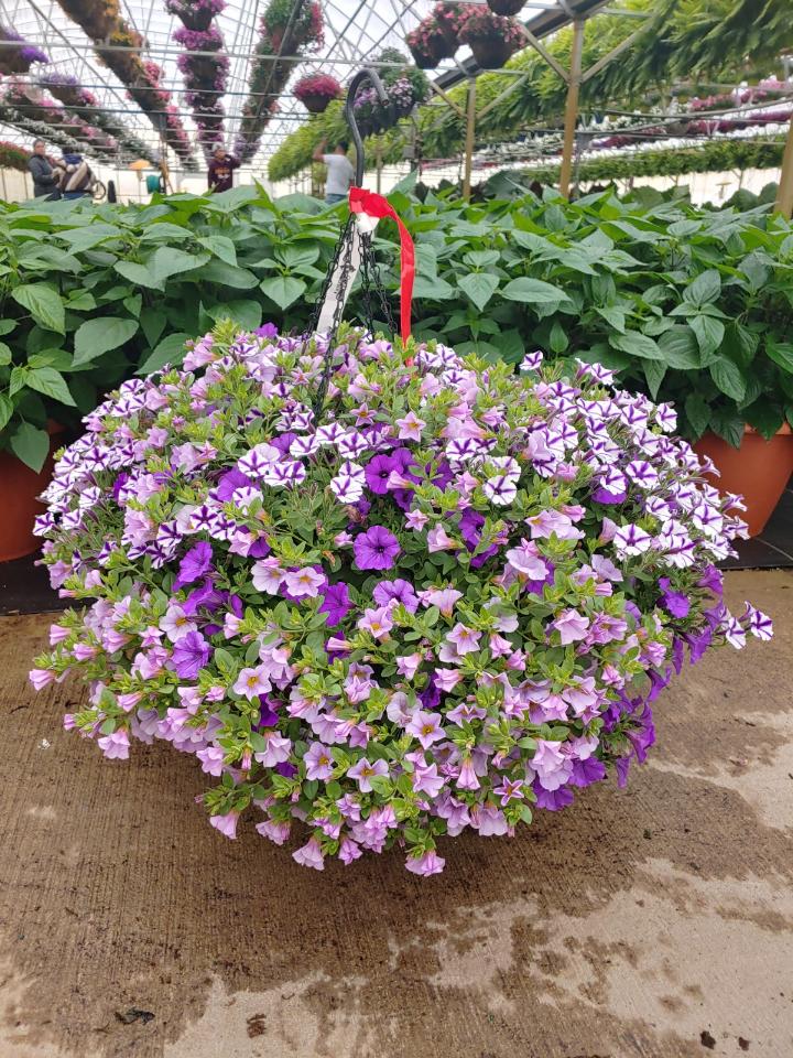 Basket Image
