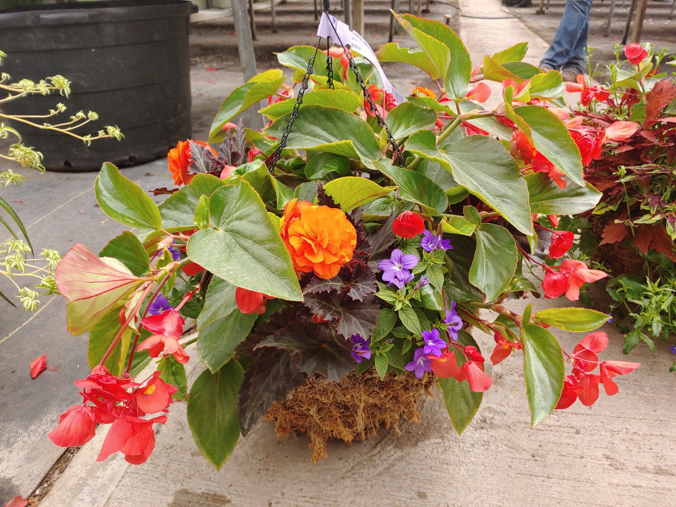 Basket Image