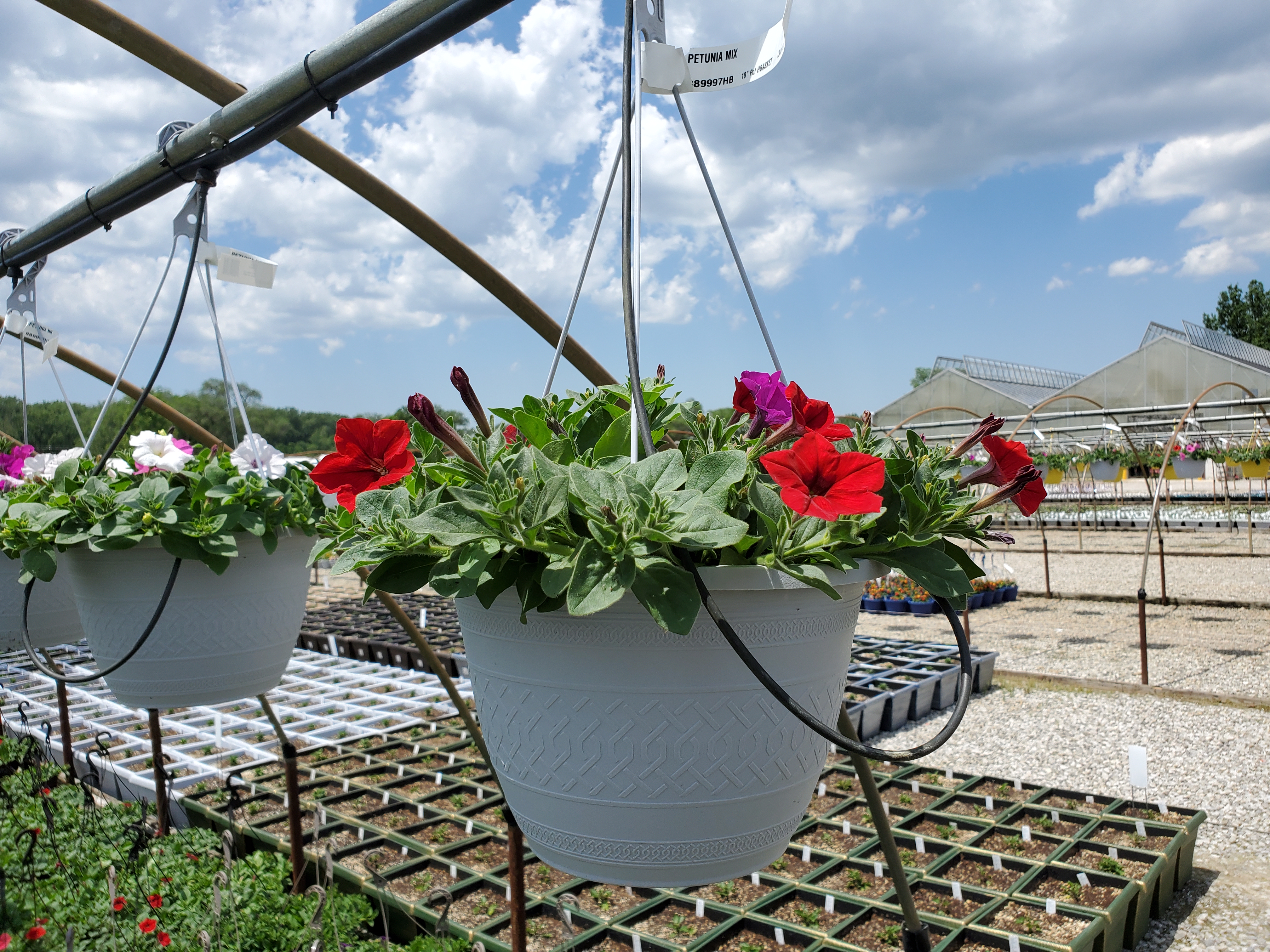 Basket Image